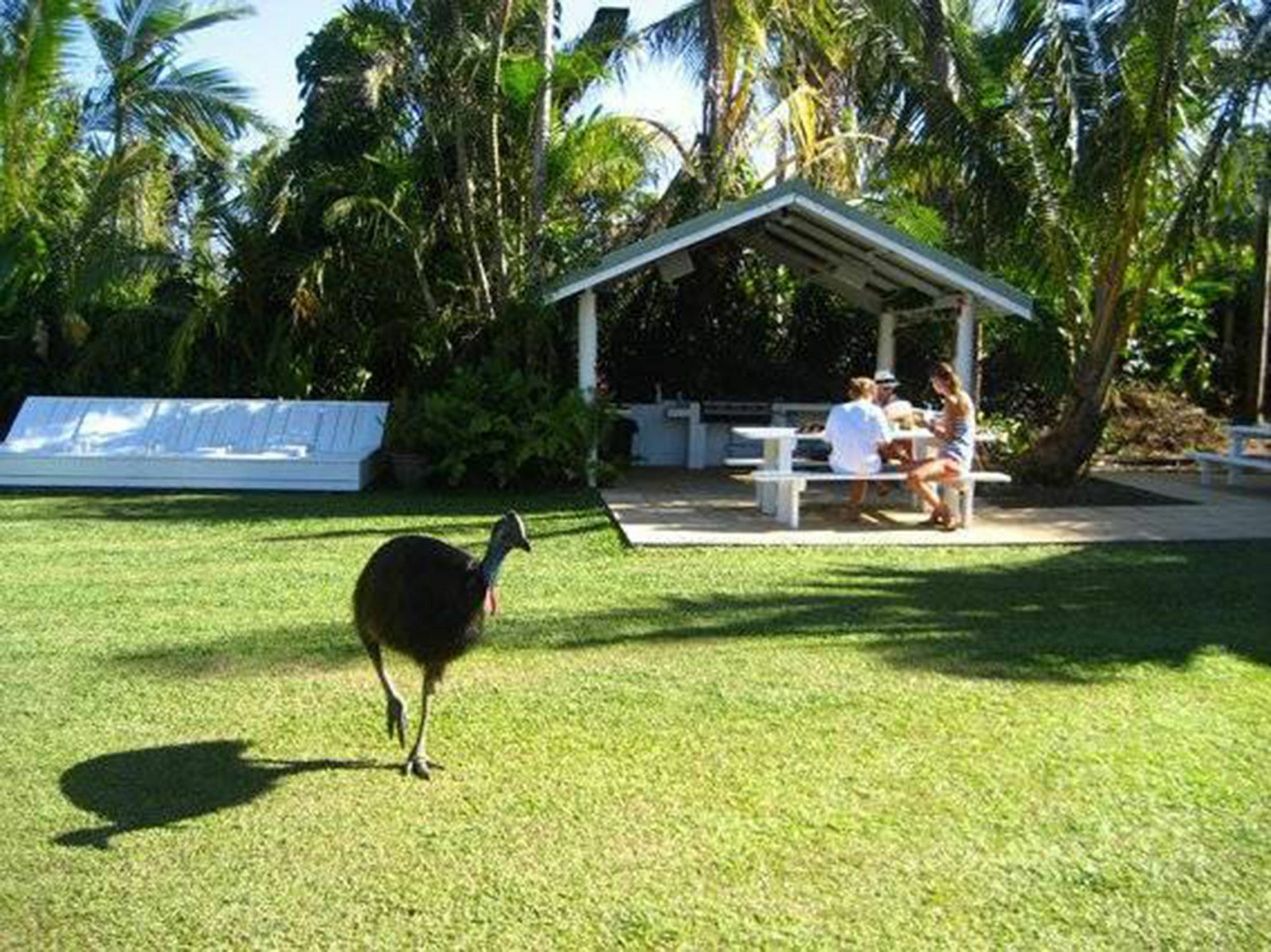 Absolute Backpackers Mission Beach Ngoại thất bức ảnh
